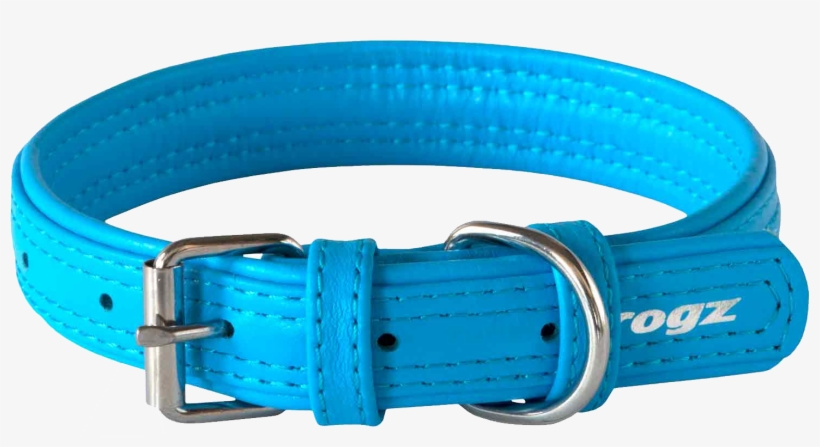 Dog Collar Png - Blue Dog Collar Png, transparent png #1013657