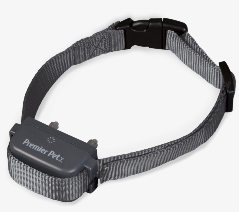 Rechargeable Bark Collar - Dog, transparent png #1013731