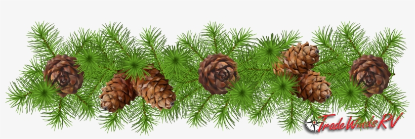 Woodland Decorations - Pinecone Garland, transparent png #1013758