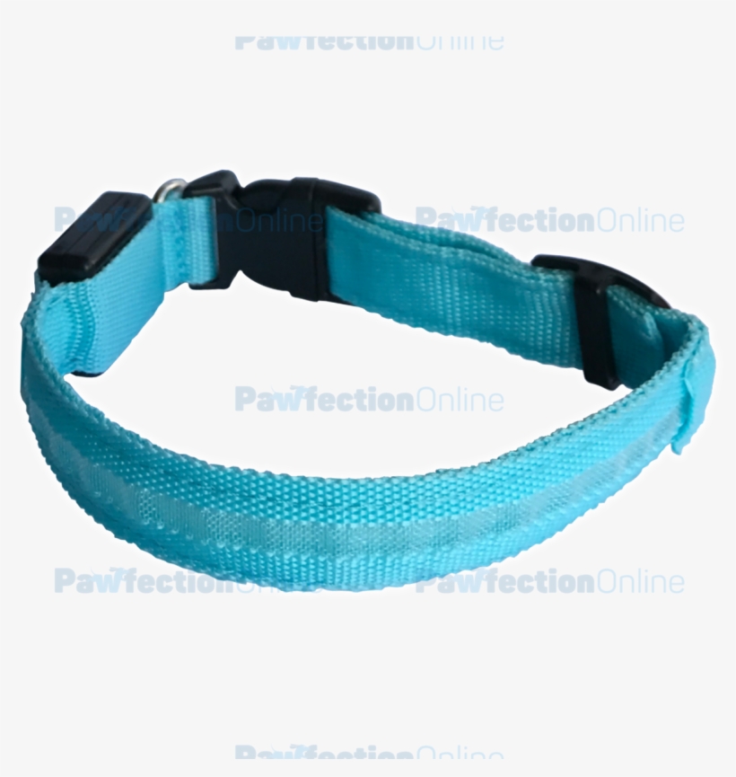 The Durable Nylon Blue Led Dog Collar Is Part Of The - Strap, transparent png #1013776