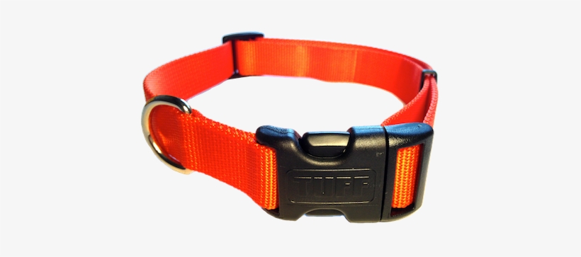 Nylon Dog Collar Plastic Clip - Plastic Clip Dog Collar, transparent png #1013800