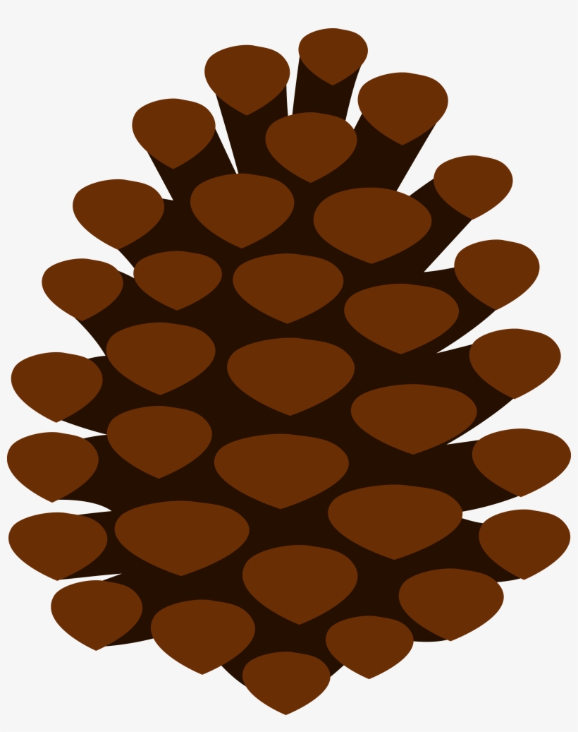 Clip Art Pine Cone, transparent png #1013945