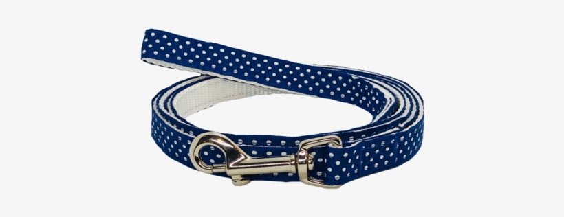 Dog Collars - Blue, transparent png #1014030
