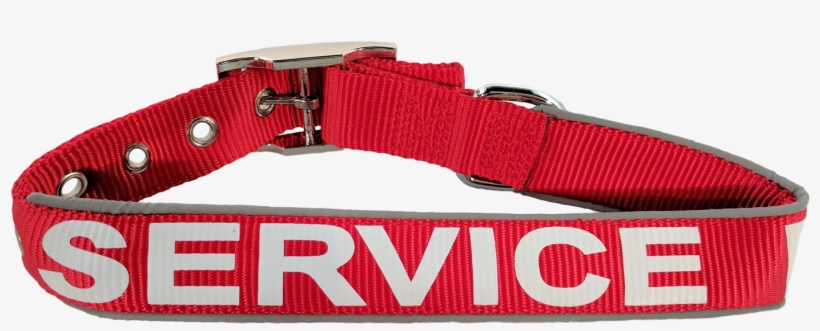 Service Dog Collar - Belt, transparent png #1014033