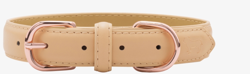 Click A Collar To See It On The Dog, transparent png #1014112