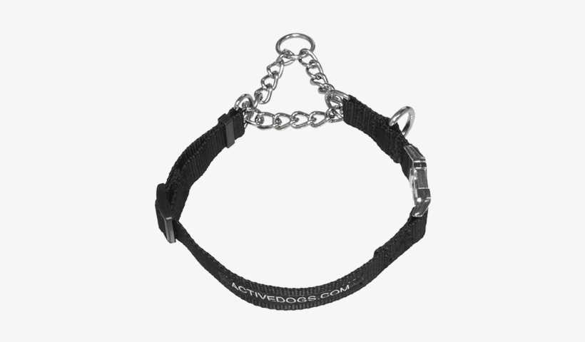 Martingale Dog Training Collar - Activedogs.com Martingale Training Dog Collar, transparent png #1014166