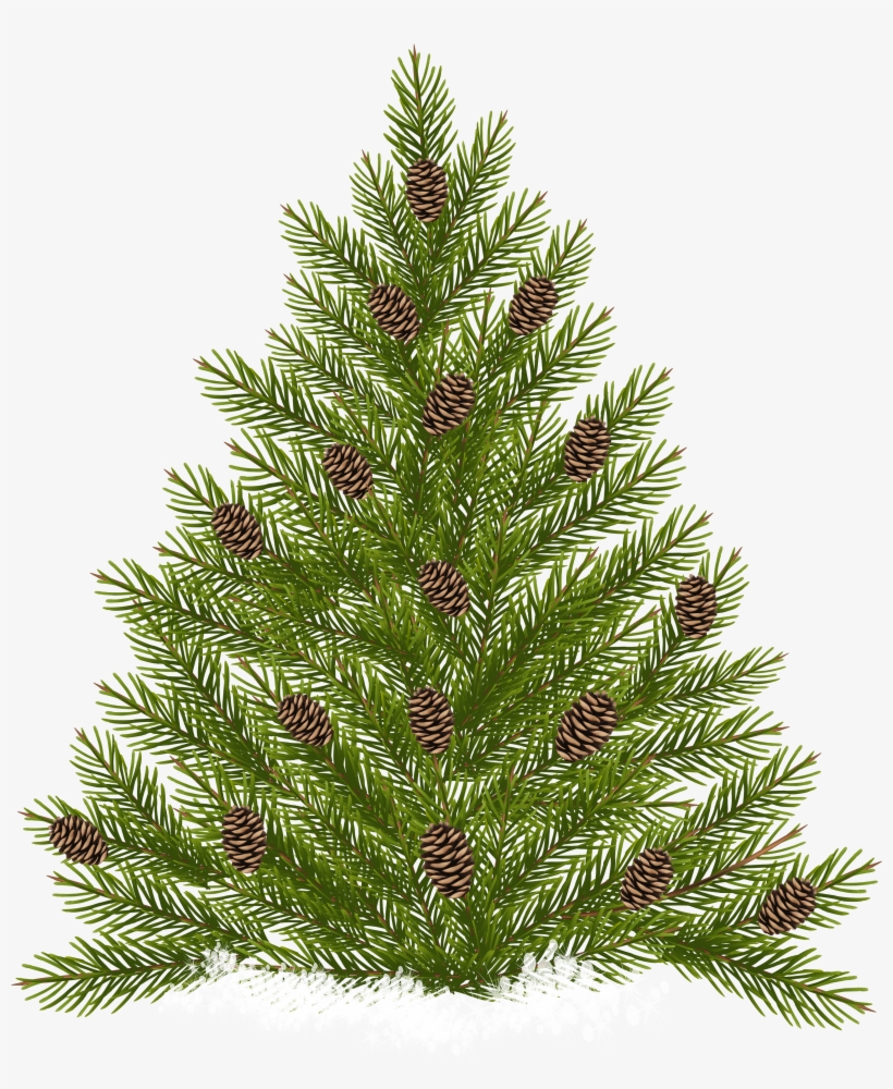 Pine Tree Transparent Png, transparent png #1014264