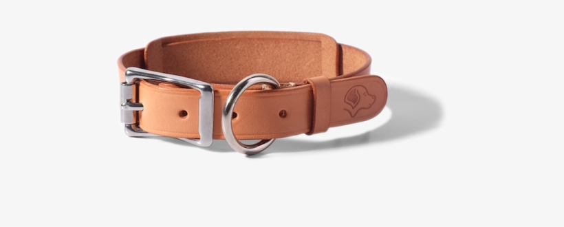 Dog Collar - Natural - Dog Collar, transparent png #1014319