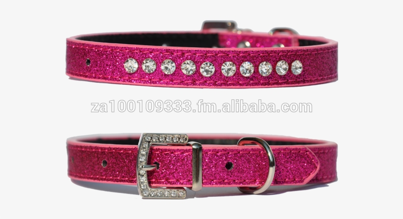 South Africa Dog Collar, South Africa Dog Collar Manufacturers - Dog Collar, transparent png #1014355