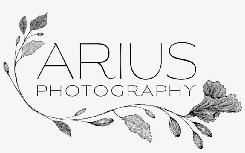 Bea Rue Graphic Logo Packaging Promo Card Flyer Design, transparent png #1015184