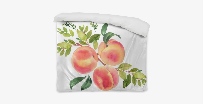 Branch With Peaches - Peach On Branch Illustration, transparent png #1015187