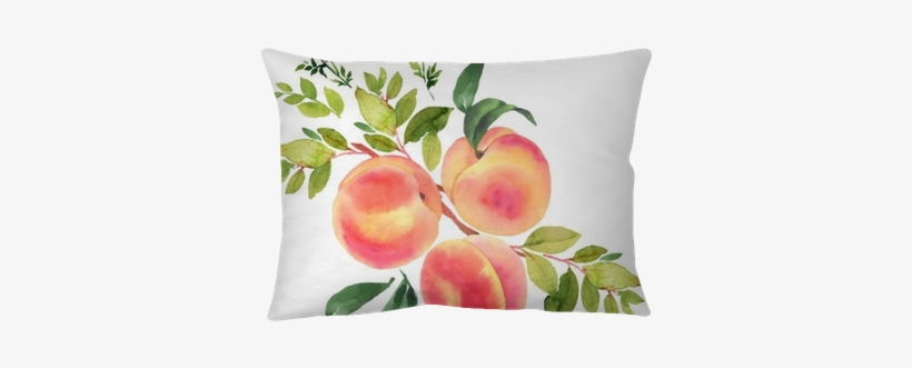 Branch With Peaches - Peach On Branch Illustration, transparent png #1015212