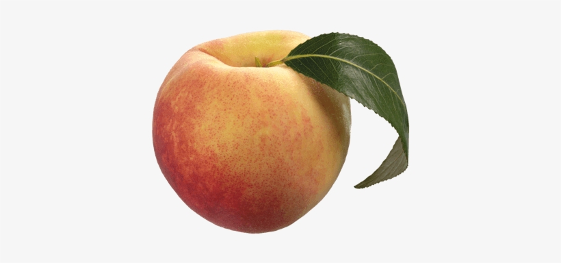 Peach Solo - Peach Png Clipart, transparent png #1015240