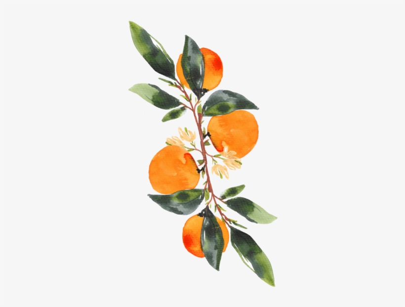 About - Watercolor Painting, transparent png #1015491