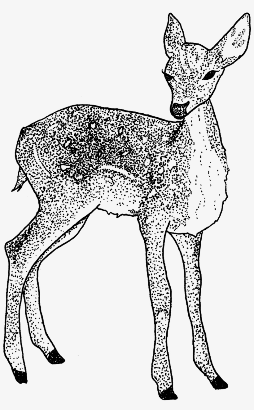 Tattly Doe Tea Leigh 00 V=1531507363 - Tattly, transparent png #1015634