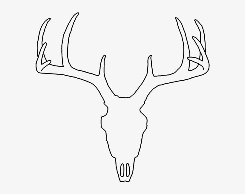 Deer Skull Wall Mounts By White Faux Taxidermy - Deer, transparent png #1015658