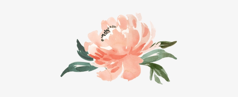 A Sneak Peek Into Our Lives - Protea, transparent png #1015681