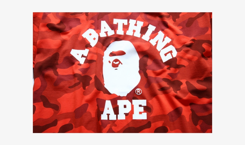 champion collab off white