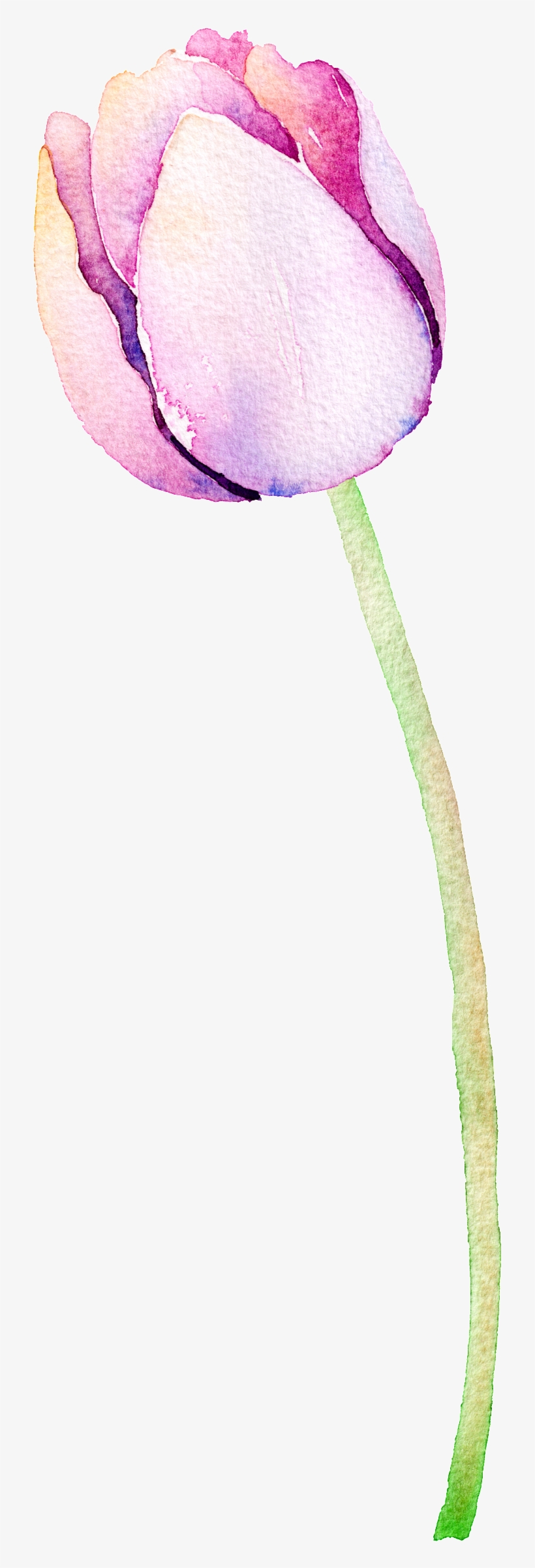 Purple Flower Hand Painted Watercolor Cartoon Transparent - Alideco Decorative Craft Washi Masking Tape Japanese, transparent png #1016037