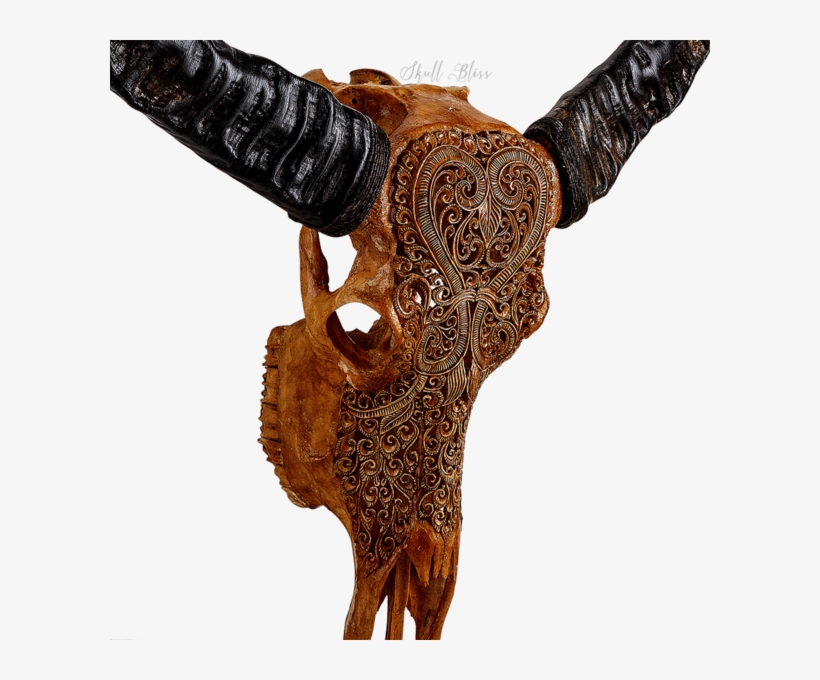 Carved Buffalo Skull - Antique, transparent png #1016158