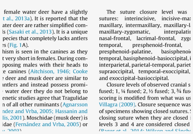 Upper - Document, transparent png #1016160