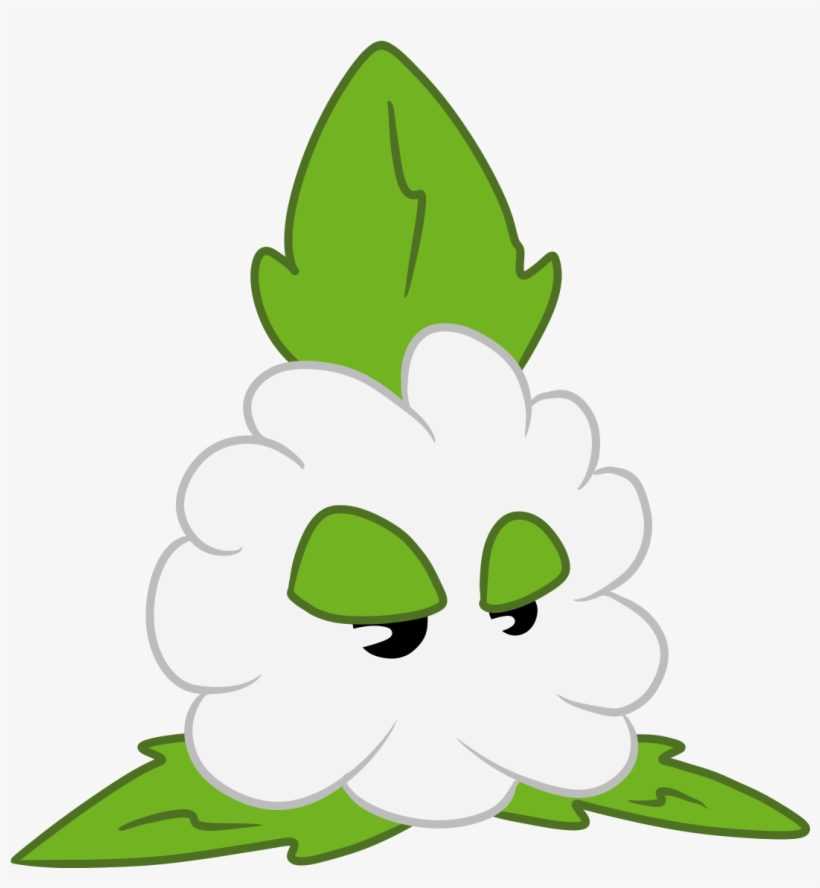 Gopu Cotton - Cotton, transparent png #1016187