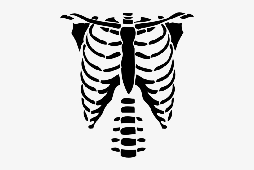 Skeleton Ribs Drawing At Getdrawings - Roblox T Shirts Png, transparent png #1016925