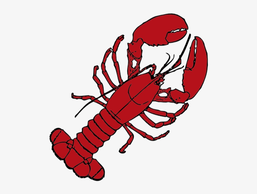 Mjek Seafood Grill Menu - Lobster Drawing Transparent, transparent png #1017324