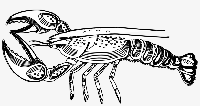 Lobster Png Black And White Transparent Lobster Black - Lobster Black And White, transparent png #1017376