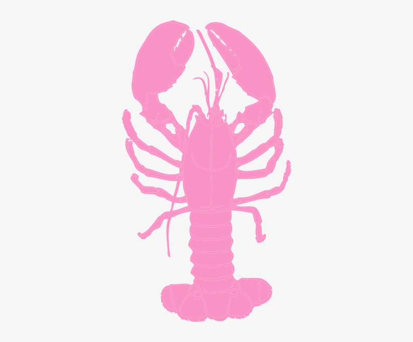 Pink Lobster Clip Art - Clip Art Lobster, transparent png #1017432
