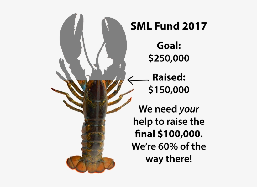 Give To The Sml Fund Today - American Lobster, transparent png #1017622