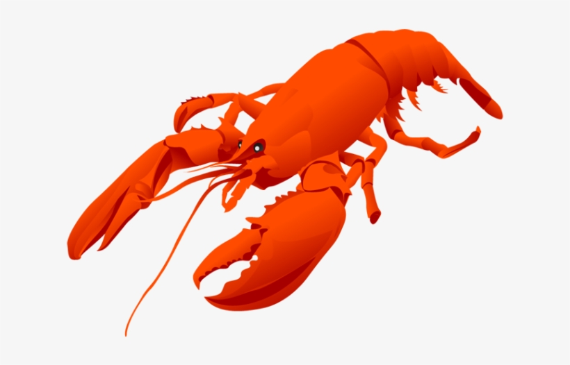 Reef Pencil And In Color - Lobster Clipart Png, transparent png #1017648