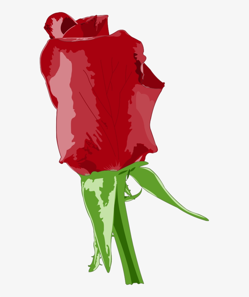 This Free Clipart Png Design Of Red Rose, transparent png #1017672