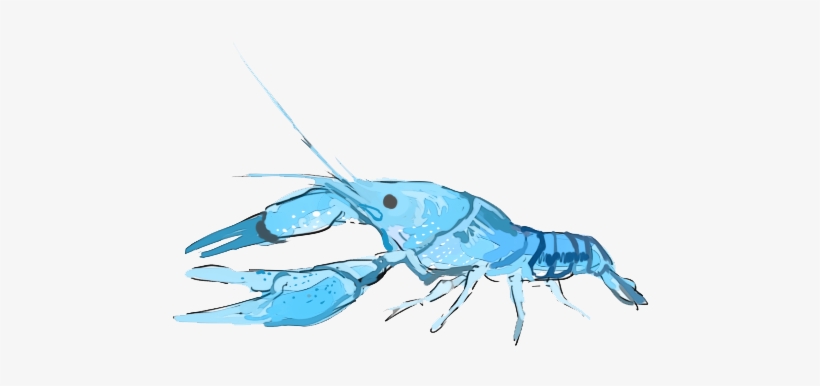 I Had A Pet Lobster - Tattoo, transparent png #1017734