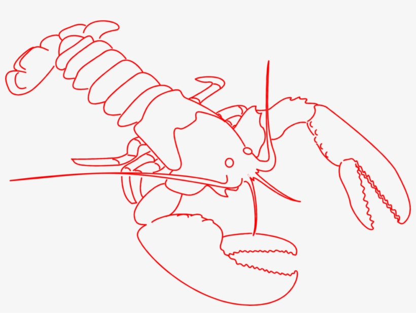 Lobster Free A Red Lobster Outline Wikiclipart Png - Lobster Clipart Outline, transparent png #1017813