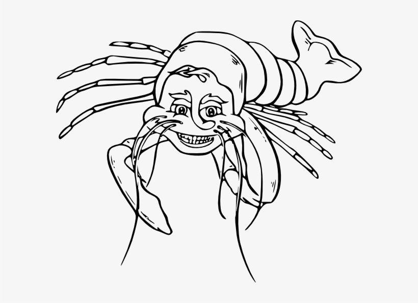 Drawn Lobster Outlines - Lobster Line Art, transparent png #1017945