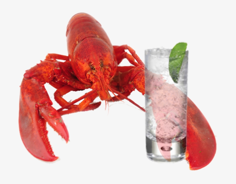 Lobster Download Transparent Png Image - Lobster Holding A Drink, transparent png #1018238