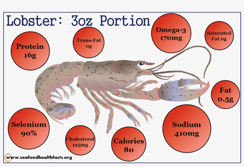 Lobster (png) - Antarctic Krill, transparent png #1018723