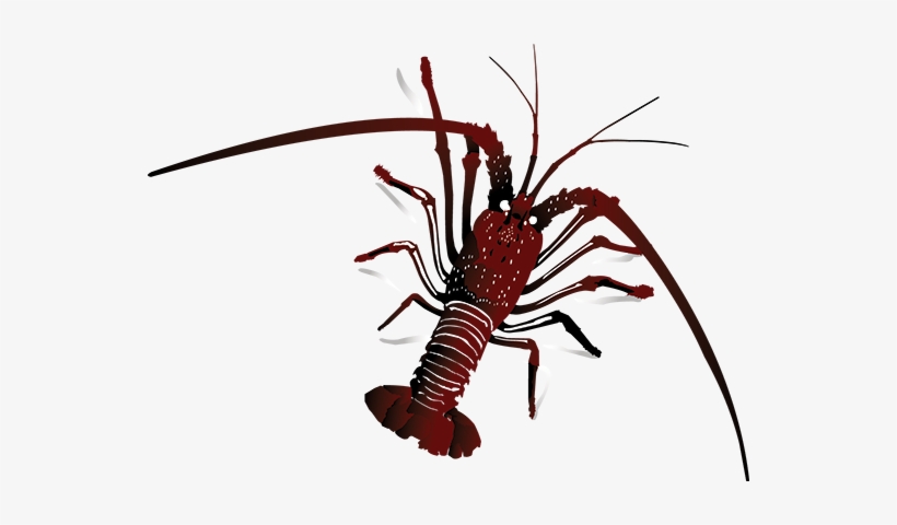 Latest News - News, transparent png #1018775