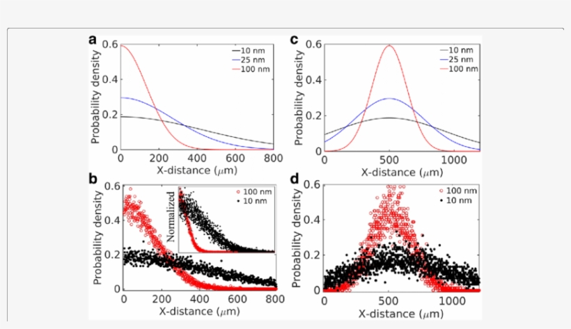 Particle Size Effects In A Cell-free System - Diagram, transparent png #1019319