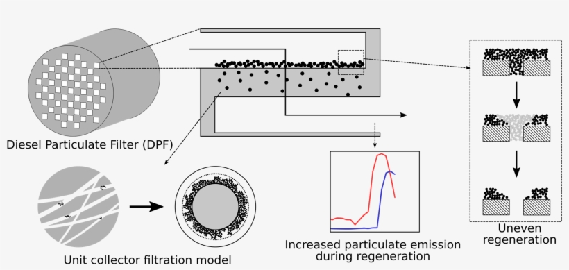 A New Model Has Been Developed To Describe The Size-dependent - Diagram, transparent png #1019379