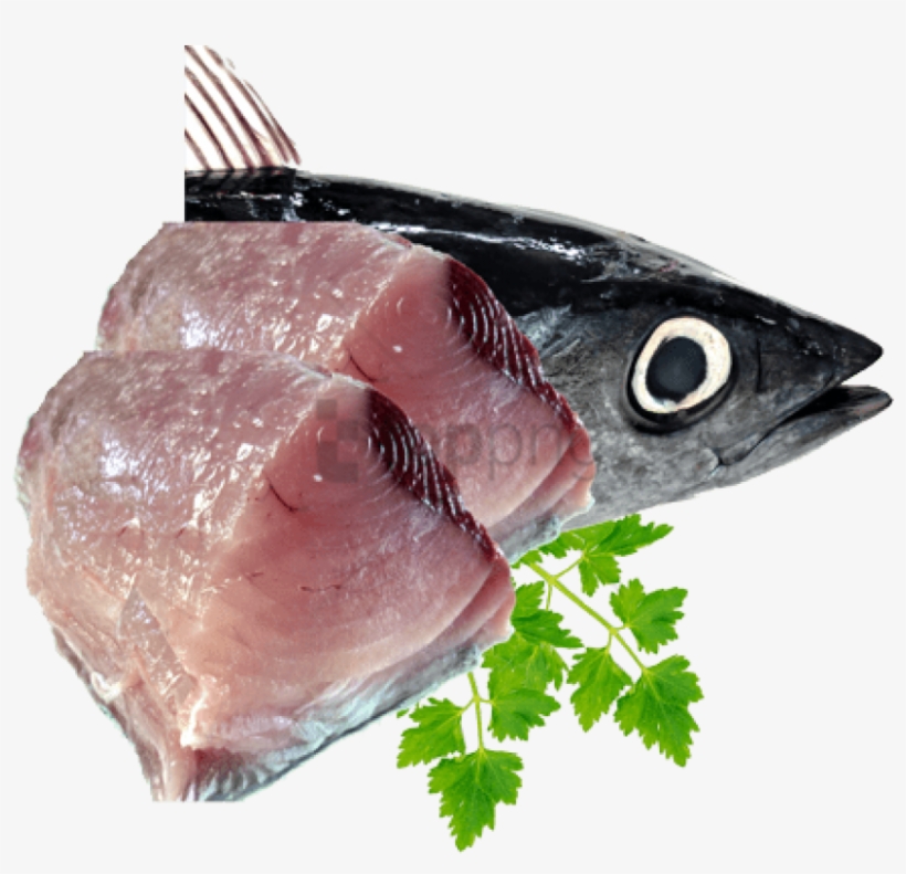 Free Png Fish Meat Png Png Image With Transparent Background - Fresh Tuna Fish Png, transparent png #10101662