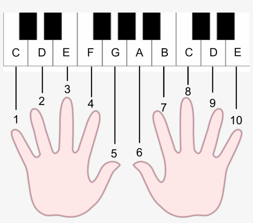 Musical Keyboard, transparent png #10101712