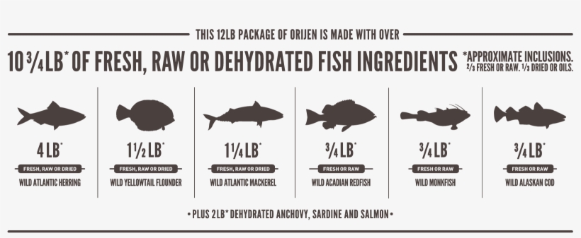 Dog Food, transparent png #10101900