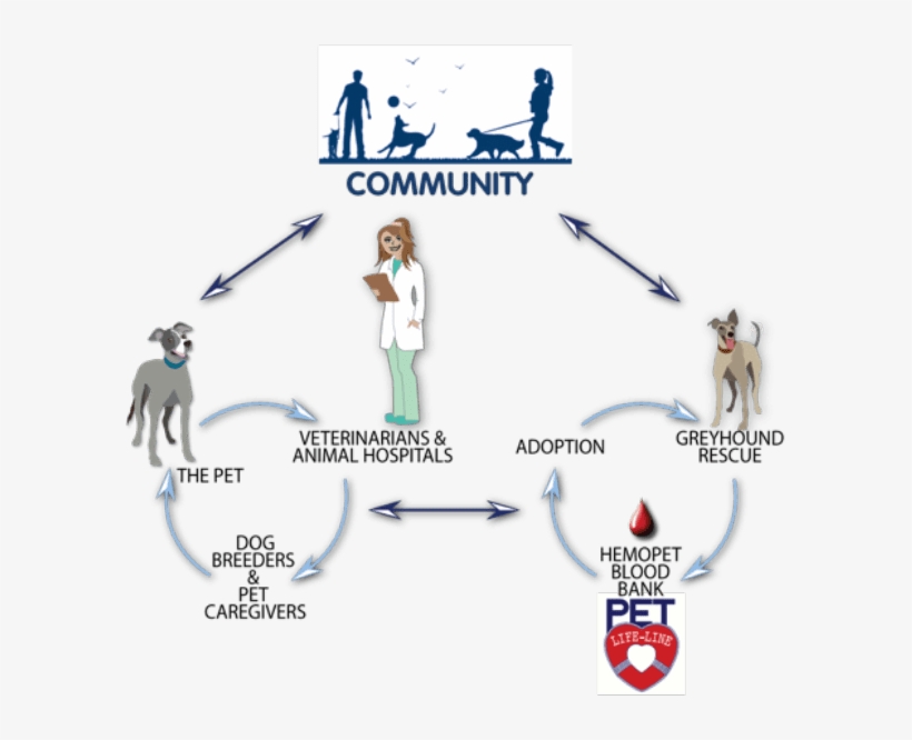 Hemopet Is A Full-service Facility Consisting Of An - Cartoon, transparent png #10103783