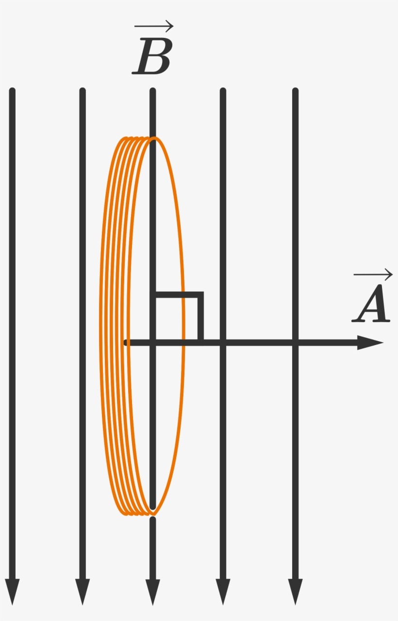 A Coil Of Wire In A Vertical Magnetic Field - Diagram, transparent png #10104097