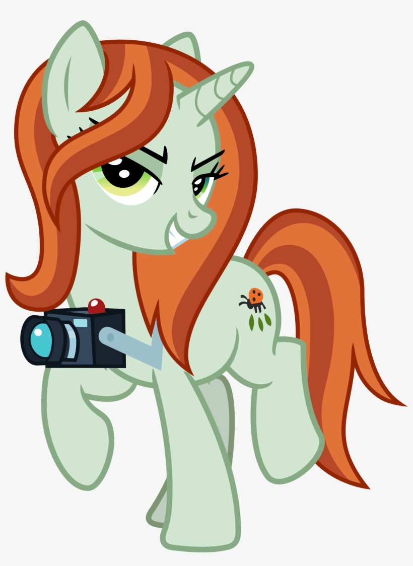 Balancing, Camera, Disguise, Disguised Changeling, - Mlp Chrysalis Disguises, transparent png #10105324