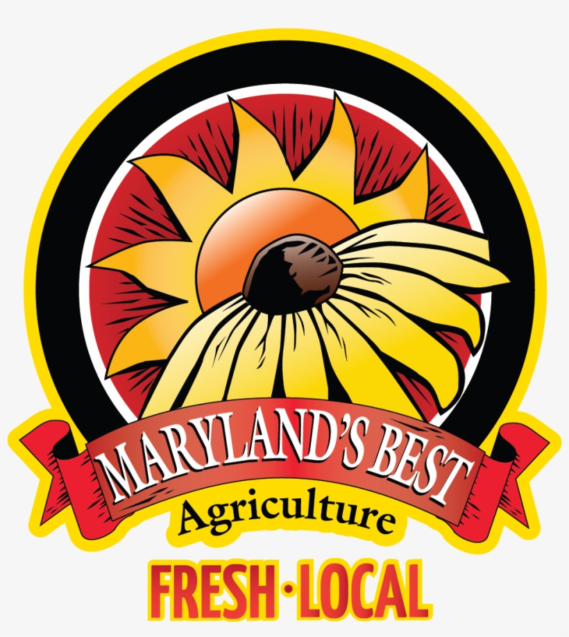 The Maryland's Best Banner Fresh, - Maryland's Best, transparent png #10106027