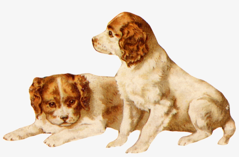 Zibi Vintage Scrap Dog Clip Art, Vintage Dog, Vintage - Companion Dog, transparent png #10110133
