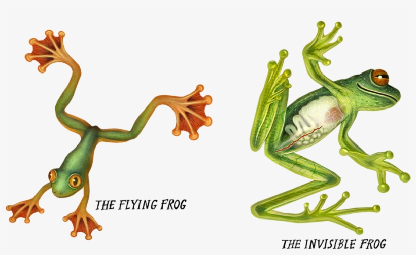 Kermit The Laying Down - Frog, transparent png #10110503
